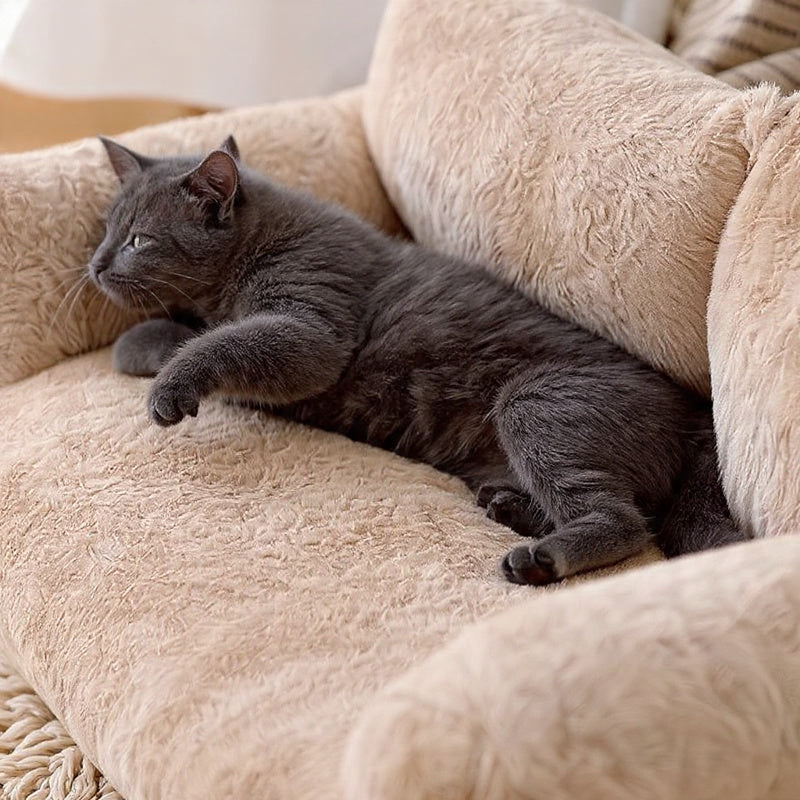 Purrfect Plush Sofa Bed