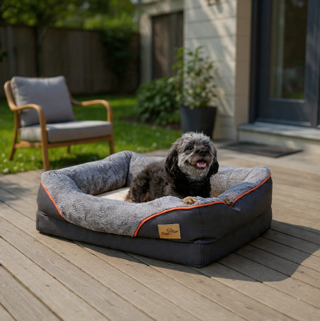 PawRest Orthopedic Comfort Bed for Large Dogs