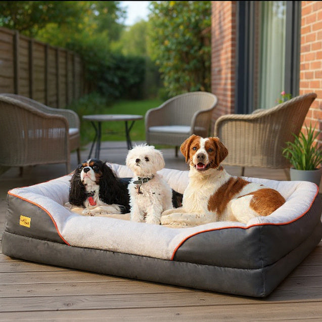 PawRest Orthopedic Comfort Bed for Large Dogs