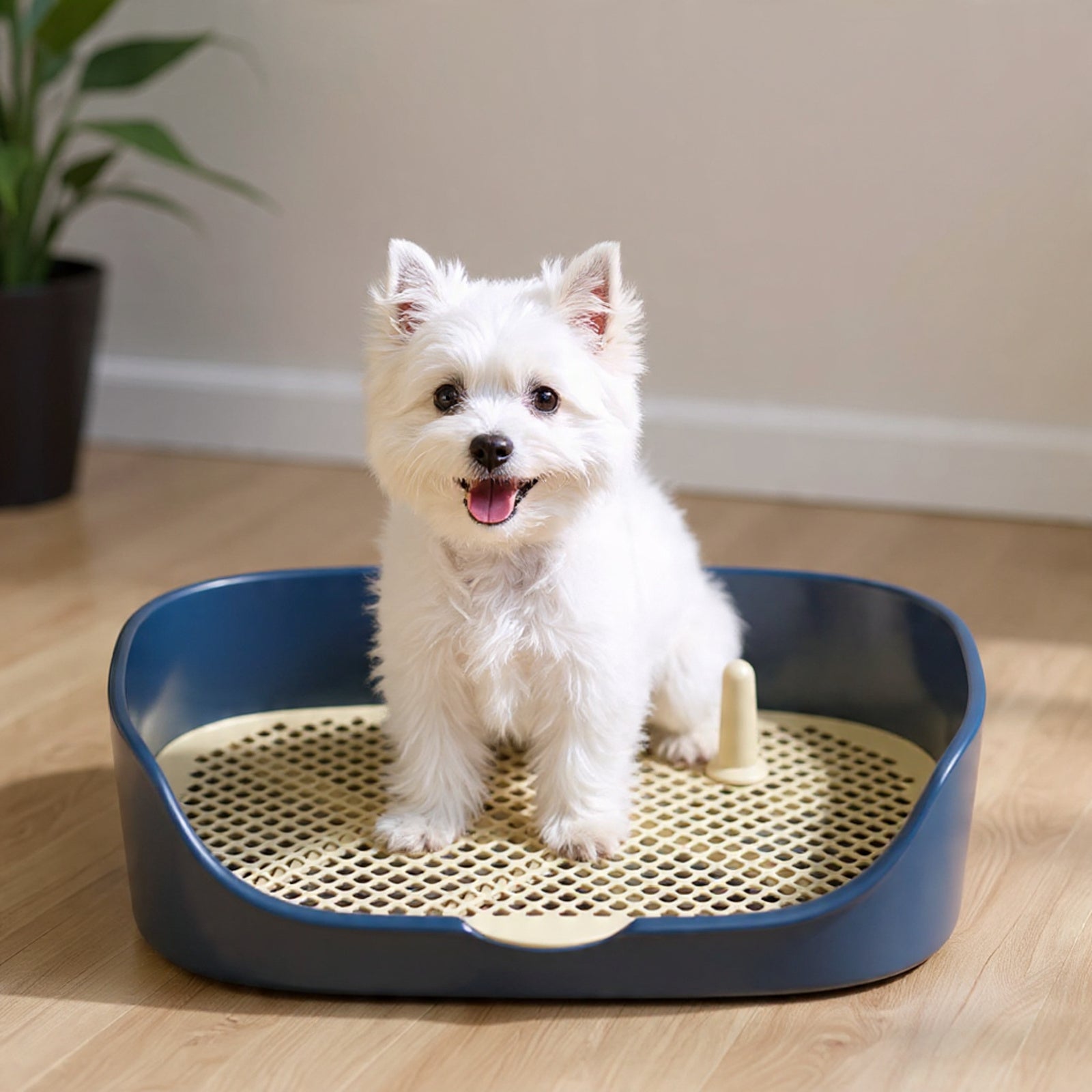 PawLoo Mini Indoor Pet Toilet Tray