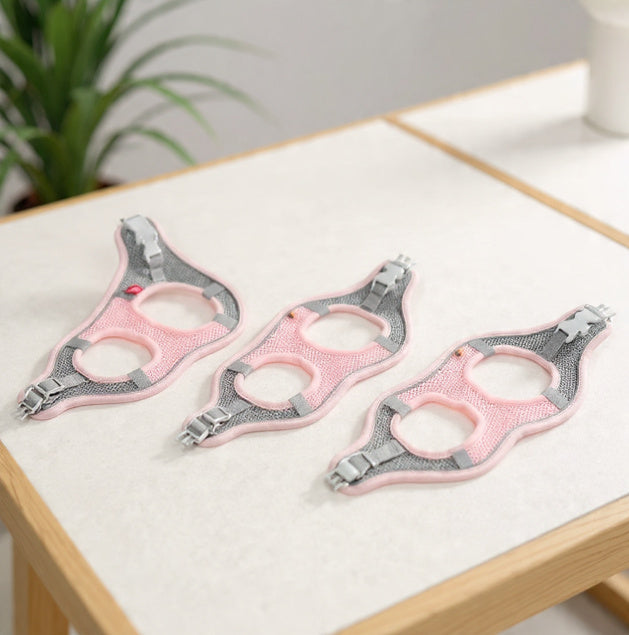 LumiPaw Reflective Mesh Harness