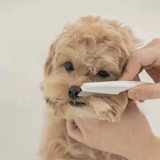 SnoutSoft Gentle Face Grooming Brush