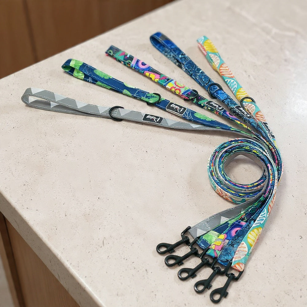 PawVibe Stylish Pattern Dog Leash