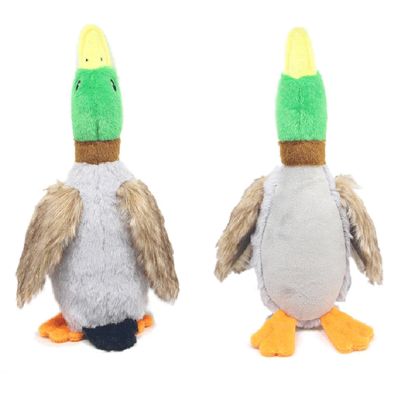 QuackyBuddy – Realistic Duck Squeaky Toy for Dogs