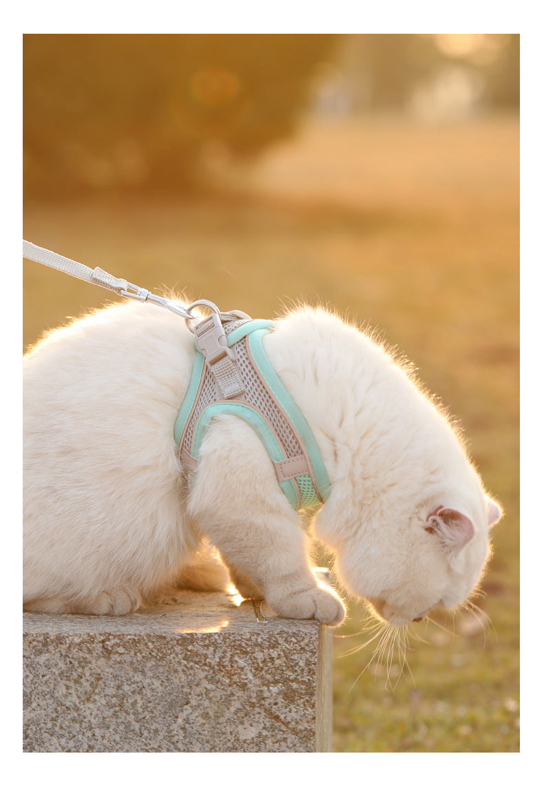 LumiPaw Reflective Mesh Harness