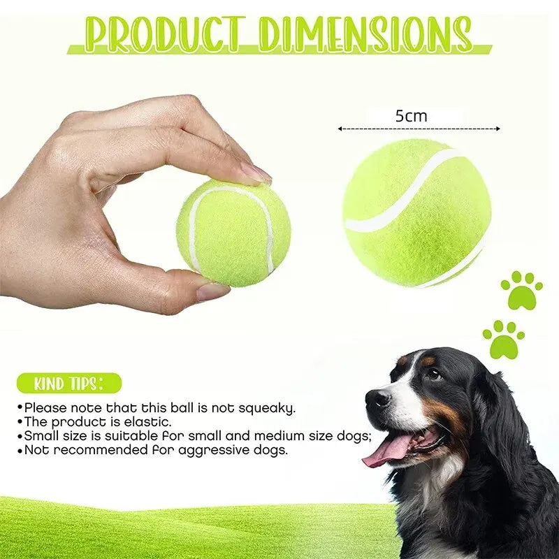 FetchPro Mini Tennis Balls