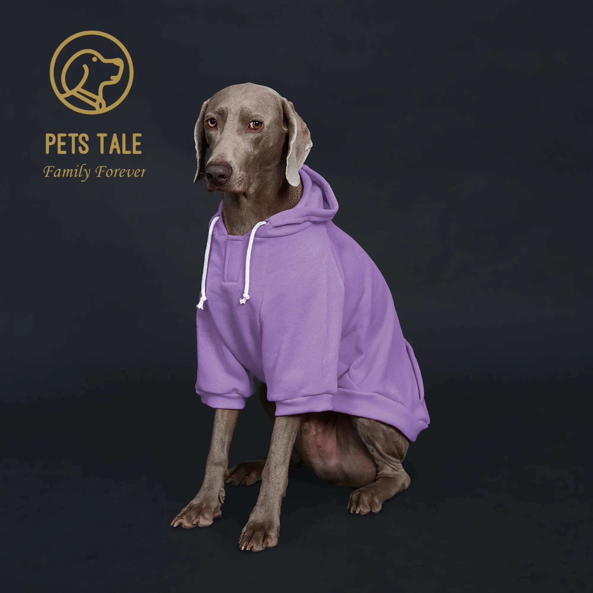 ComfyTail Premium Dog Hoodie