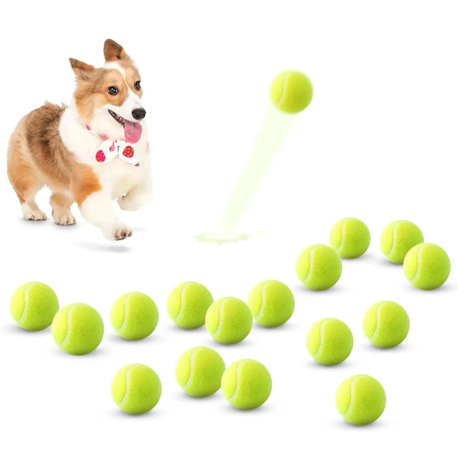 FetchPro Mini Tennis Balls