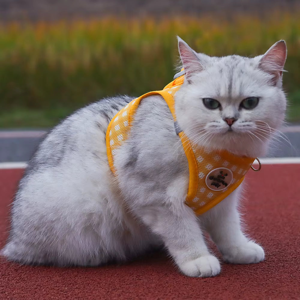 PawChic Gingham Soft Harness Set