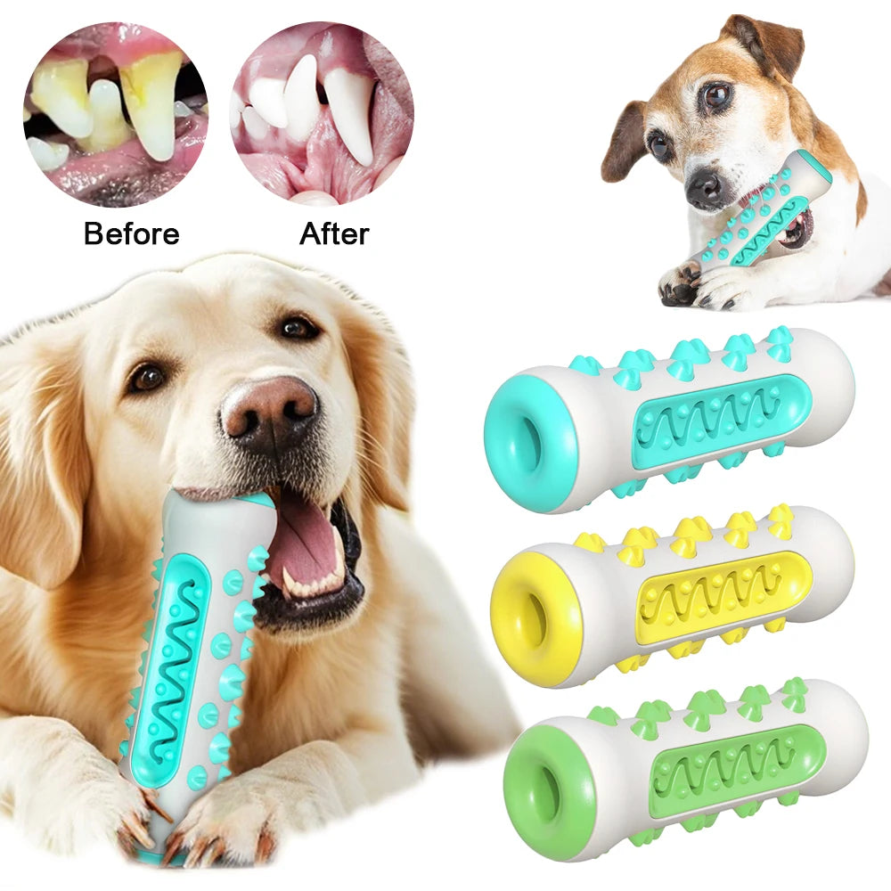 FreshBite Dog Dental Chew Toy