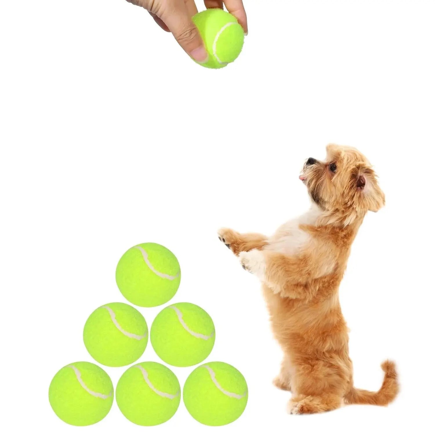 FetchPro Mini Tennis Balls