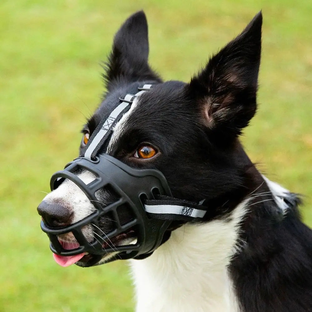 BreatheSafe Adjustable Dog Muzzle