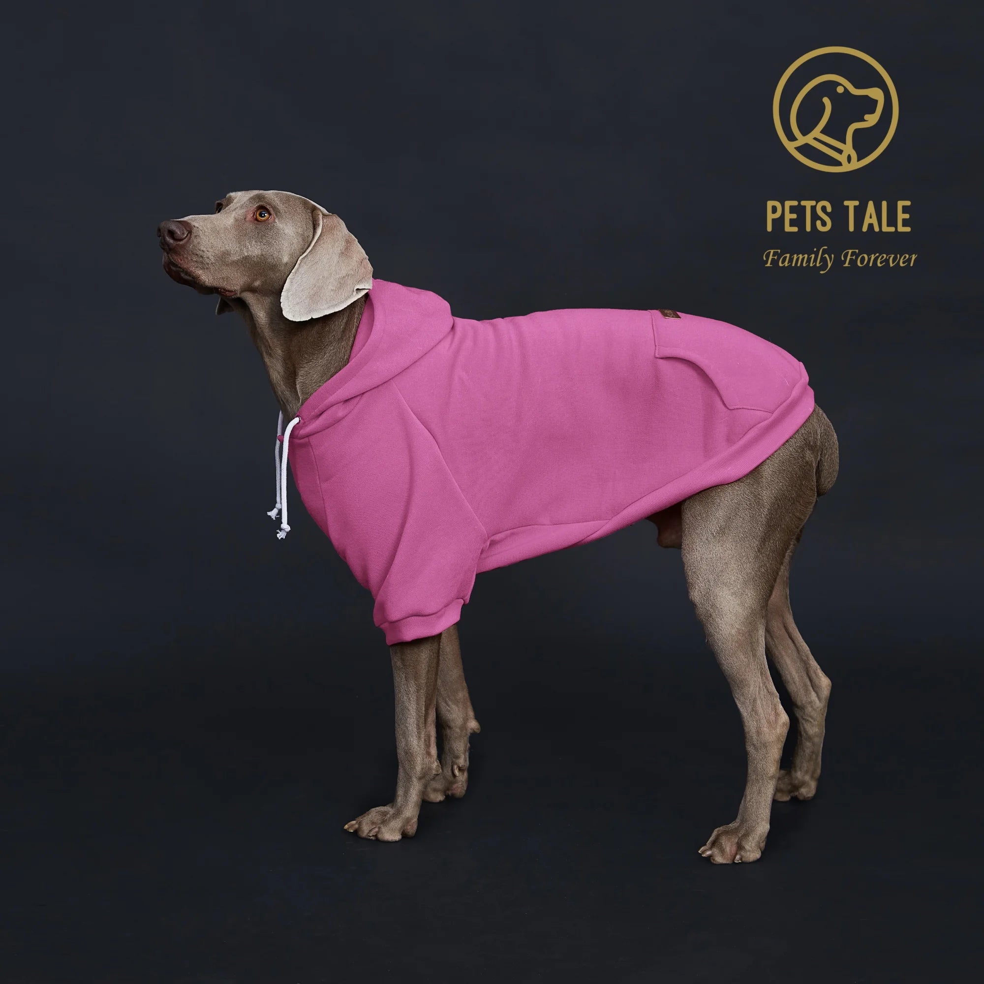 ComfyTail Premium Dog Hoodie