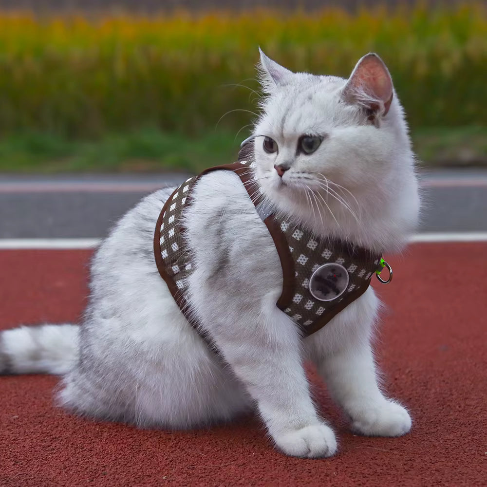 PawChic Gingham Soft Harness Set