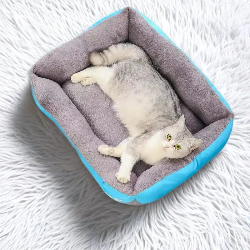 SoftNest Pet Retreat