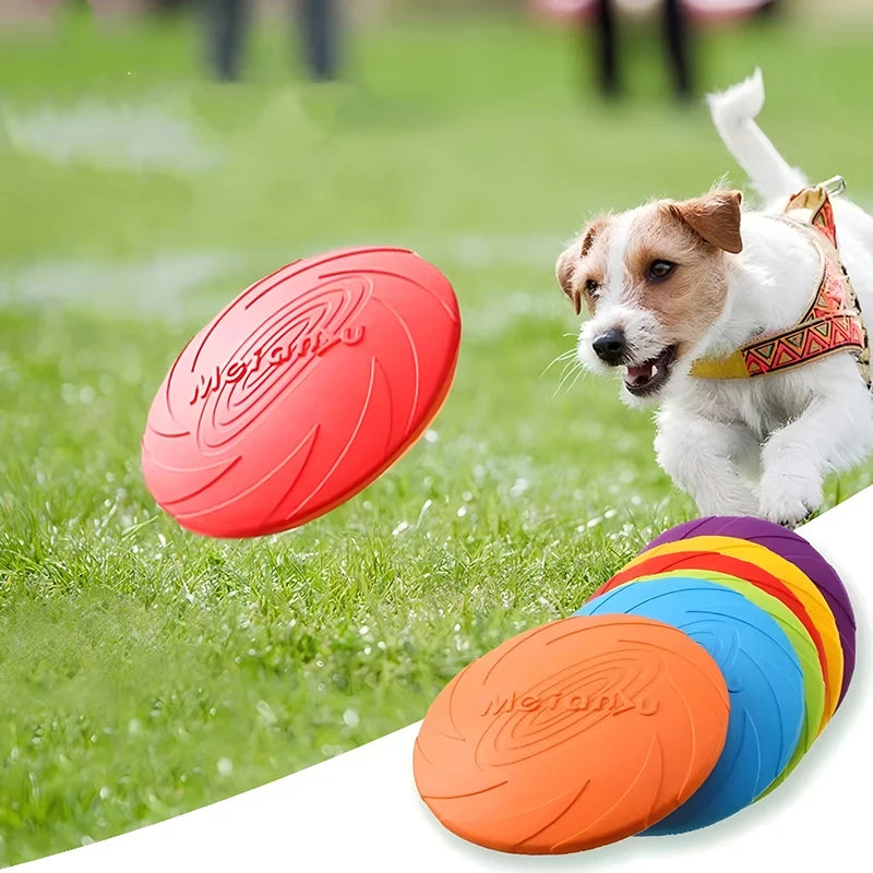 FlexiFly Soft Dog Frisbee