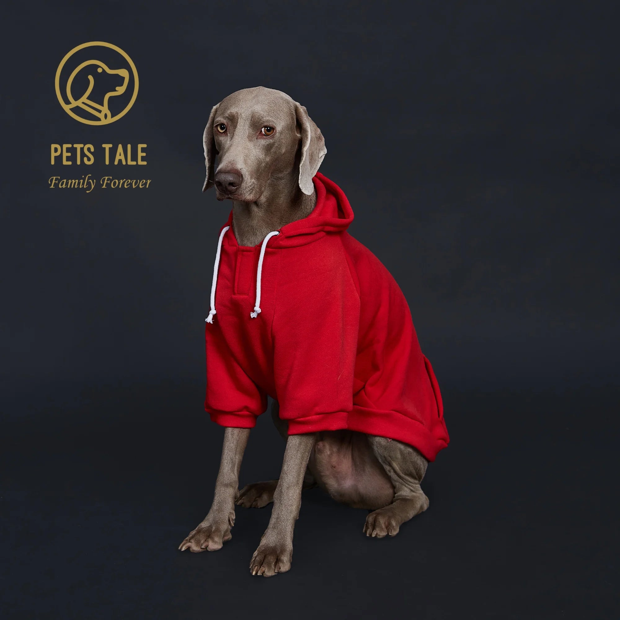 ComfyTail Premium Dog Hoodie