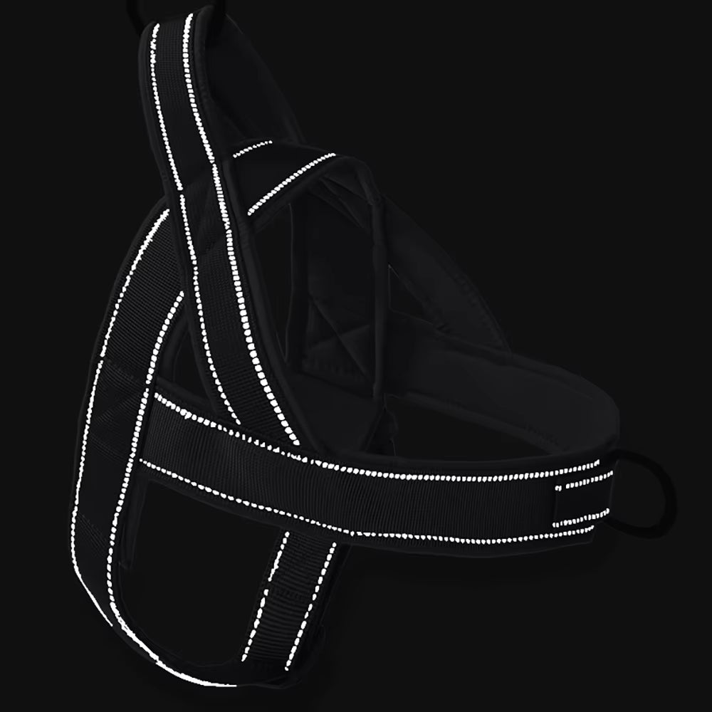 TactiComfort No-Pull Dog Harness