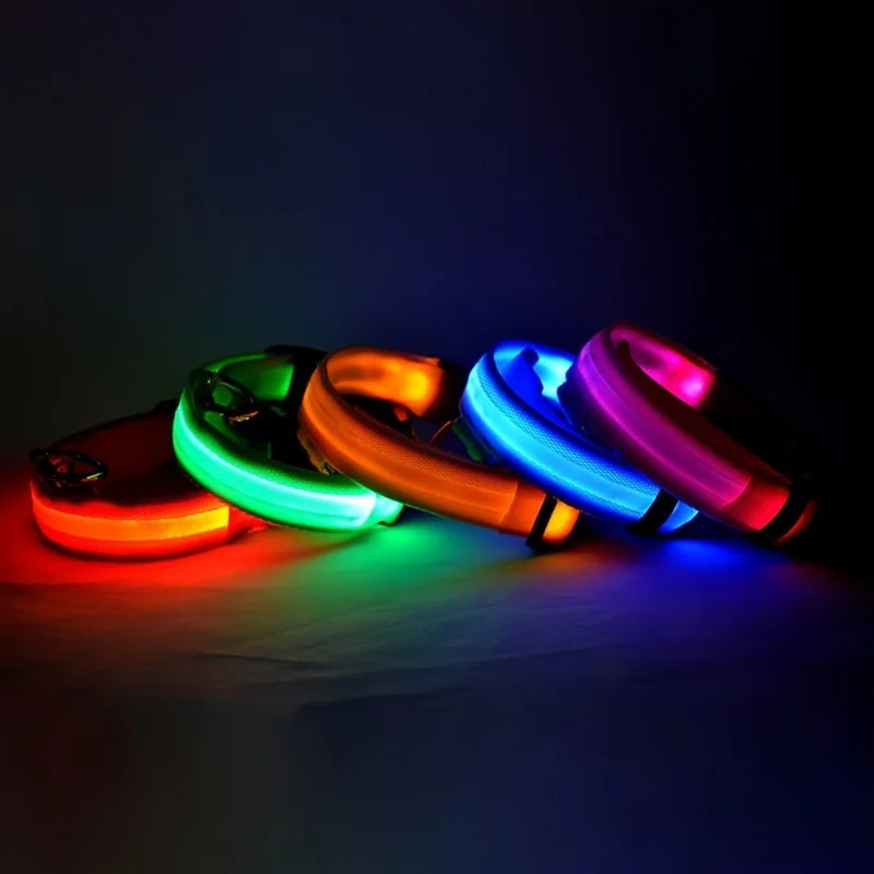 GlowGuard LED Safety Collar