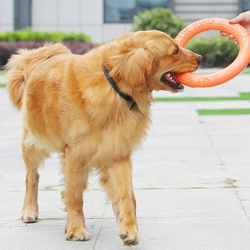 FetchForce Dog Ring Toy