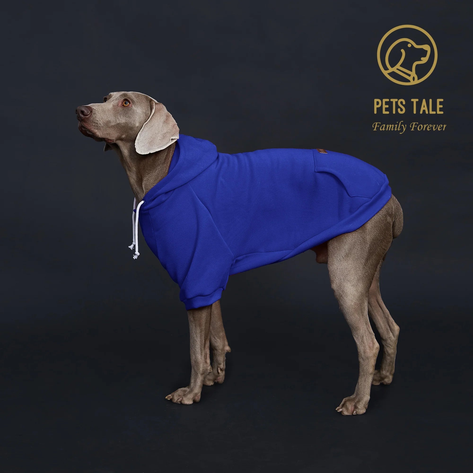 ComfyTail Premium Dog Hoodie
