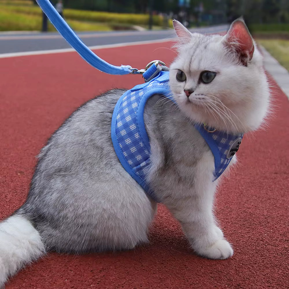 PawChic Gingham Soft Harness Set