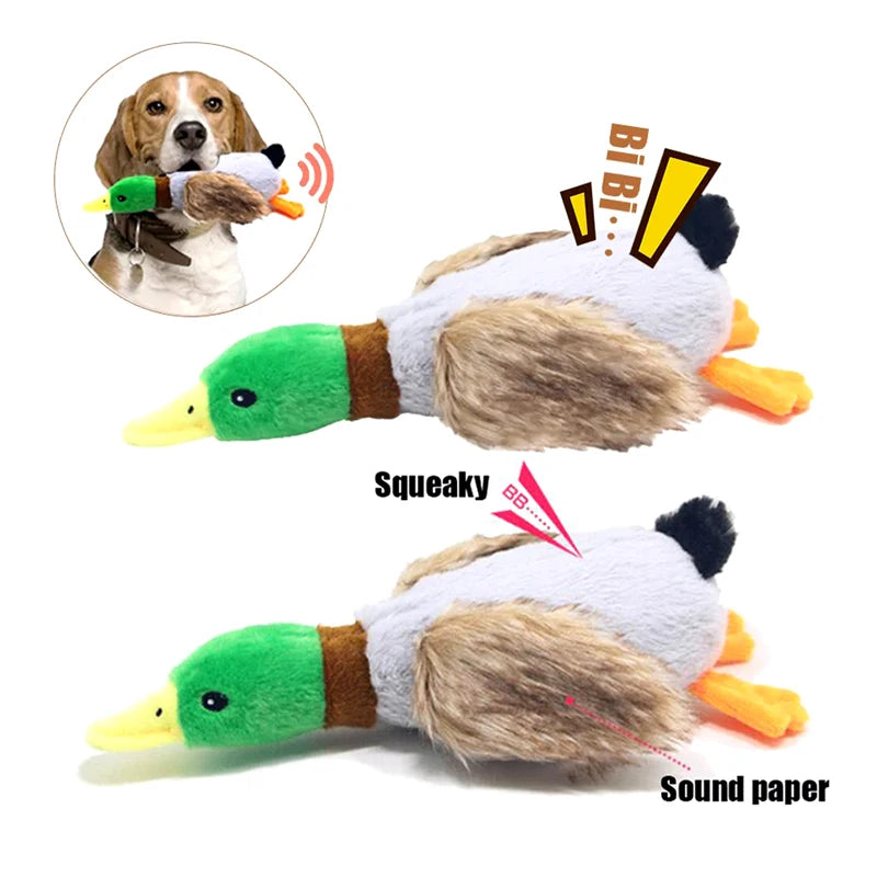 QuackyBuddy – Realistic Duck Squeaky Toy for Dogs
