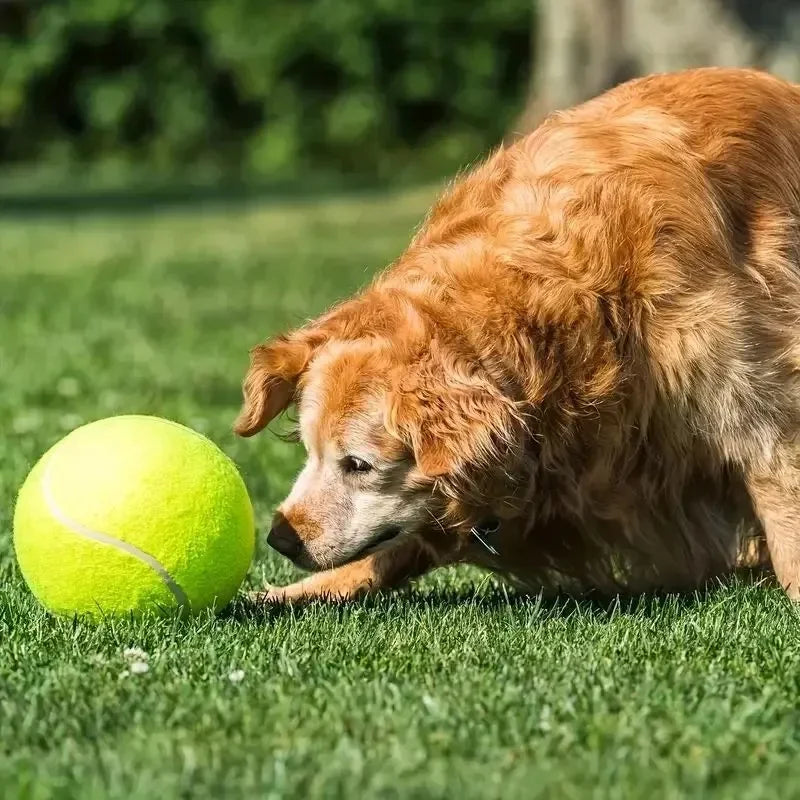MegaFetch Giant Tennis Ball