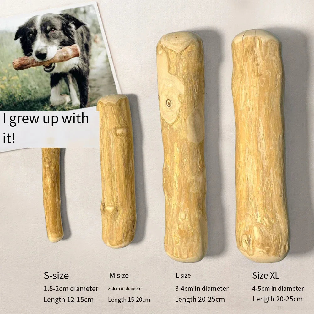 ChewBrew – Natural Coffee Wood Dental Stick