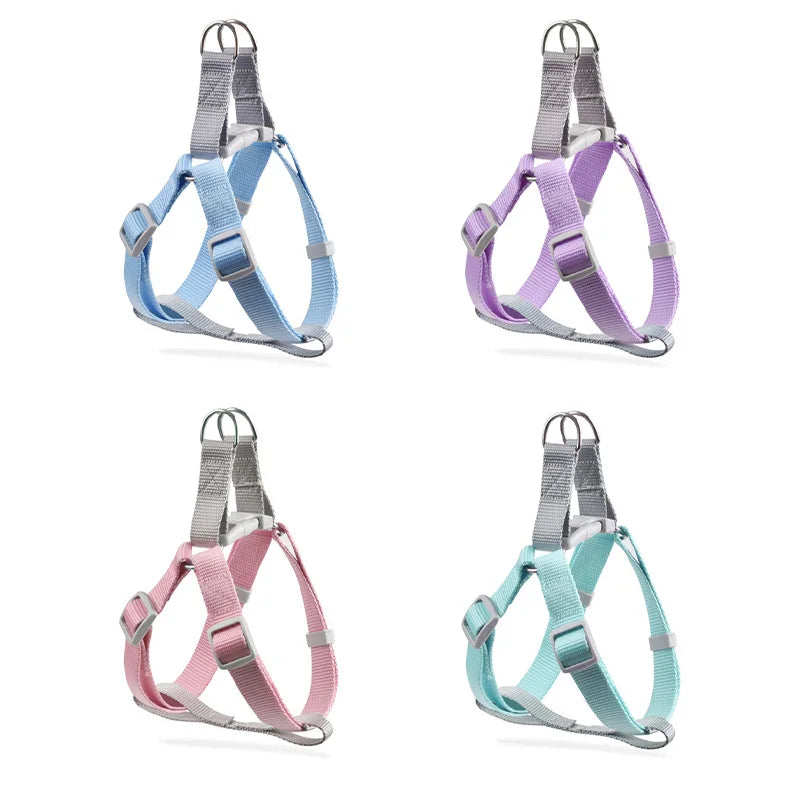 SoftStep Adjustable Pet Harness & Leash Set