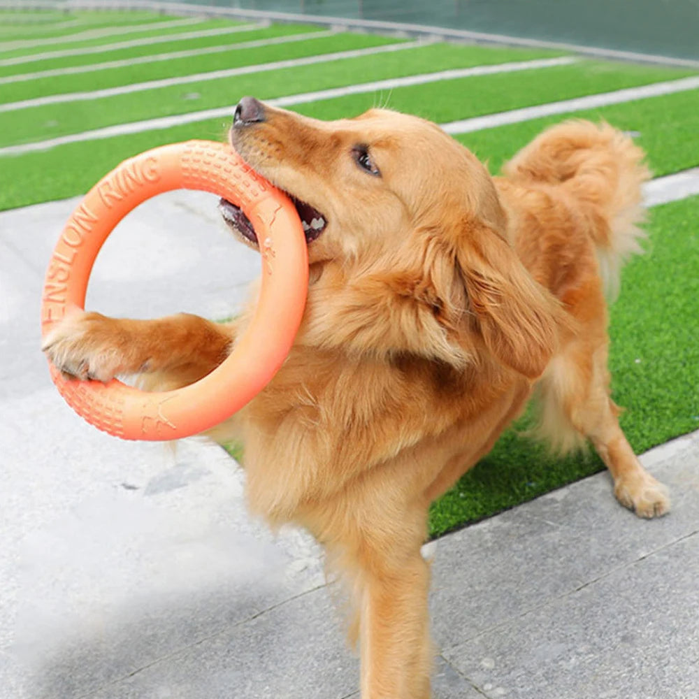 FetchForce Dog Ring Toy