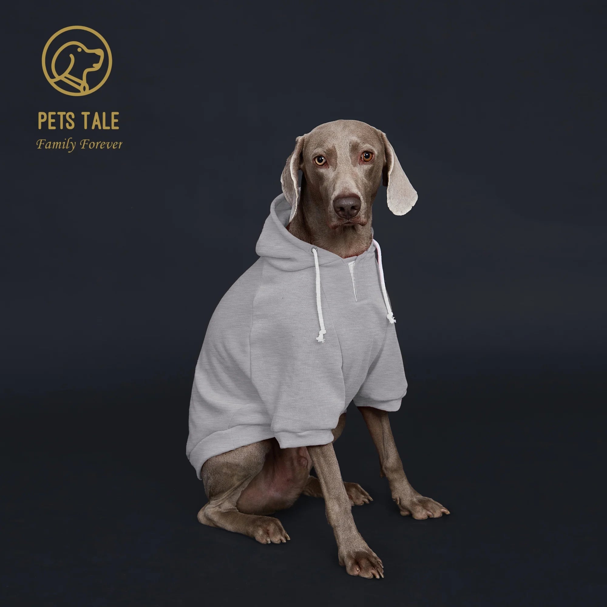 ComfyTail Premium Dog Hoodie