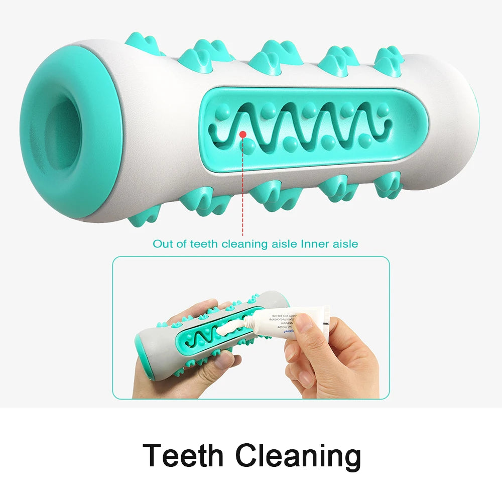 FreshBite Dog Dental Chew Toy