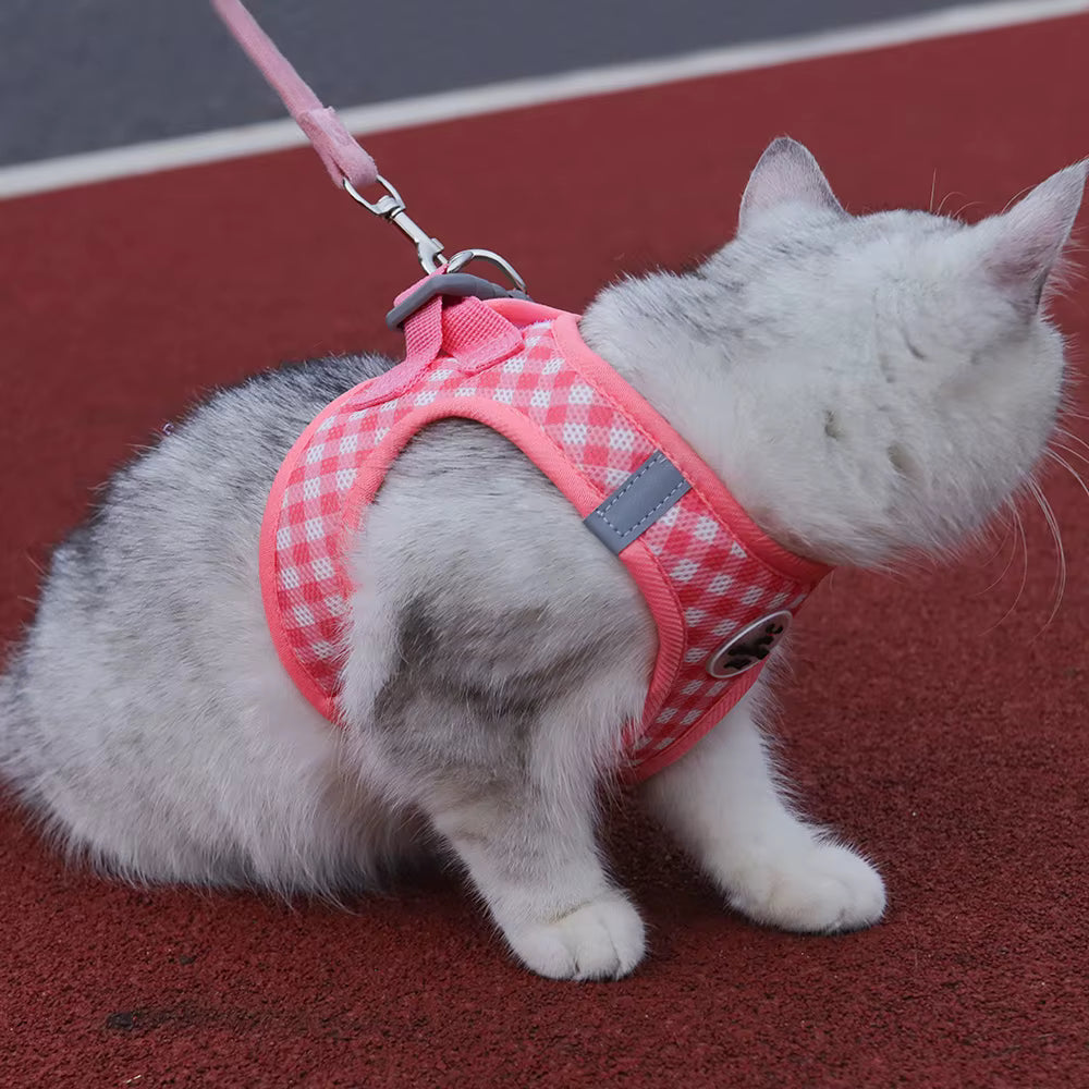 PawChic Gingham Soft Harness Set