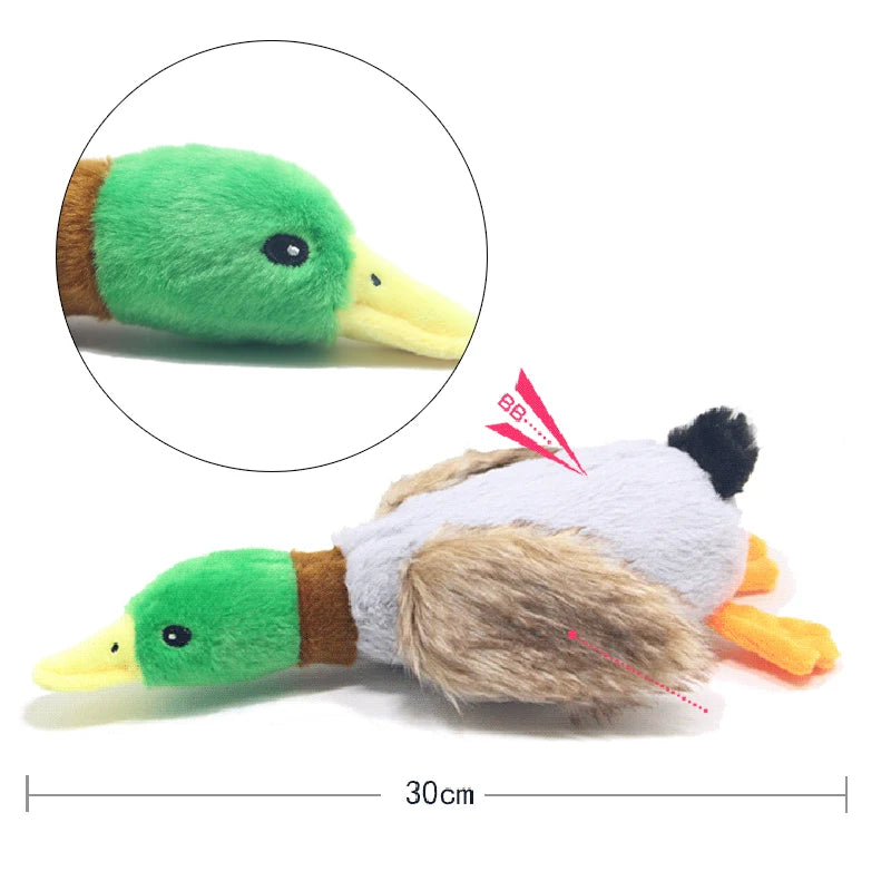 QuackyBuddy – Realistic Duck Squeaky Toy for Dogs