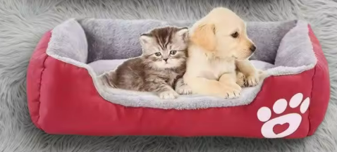 SoftNest Pet Retreat